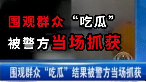 最新吃瓜消息新闻网,神秘事件背后真相揭秘