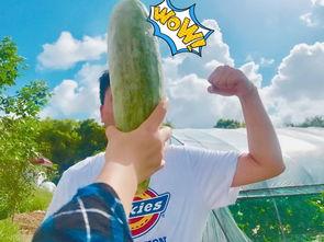 扭腰网红被吃瓜