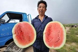 吃瓜神网中国,中国网络舆论场的风向标